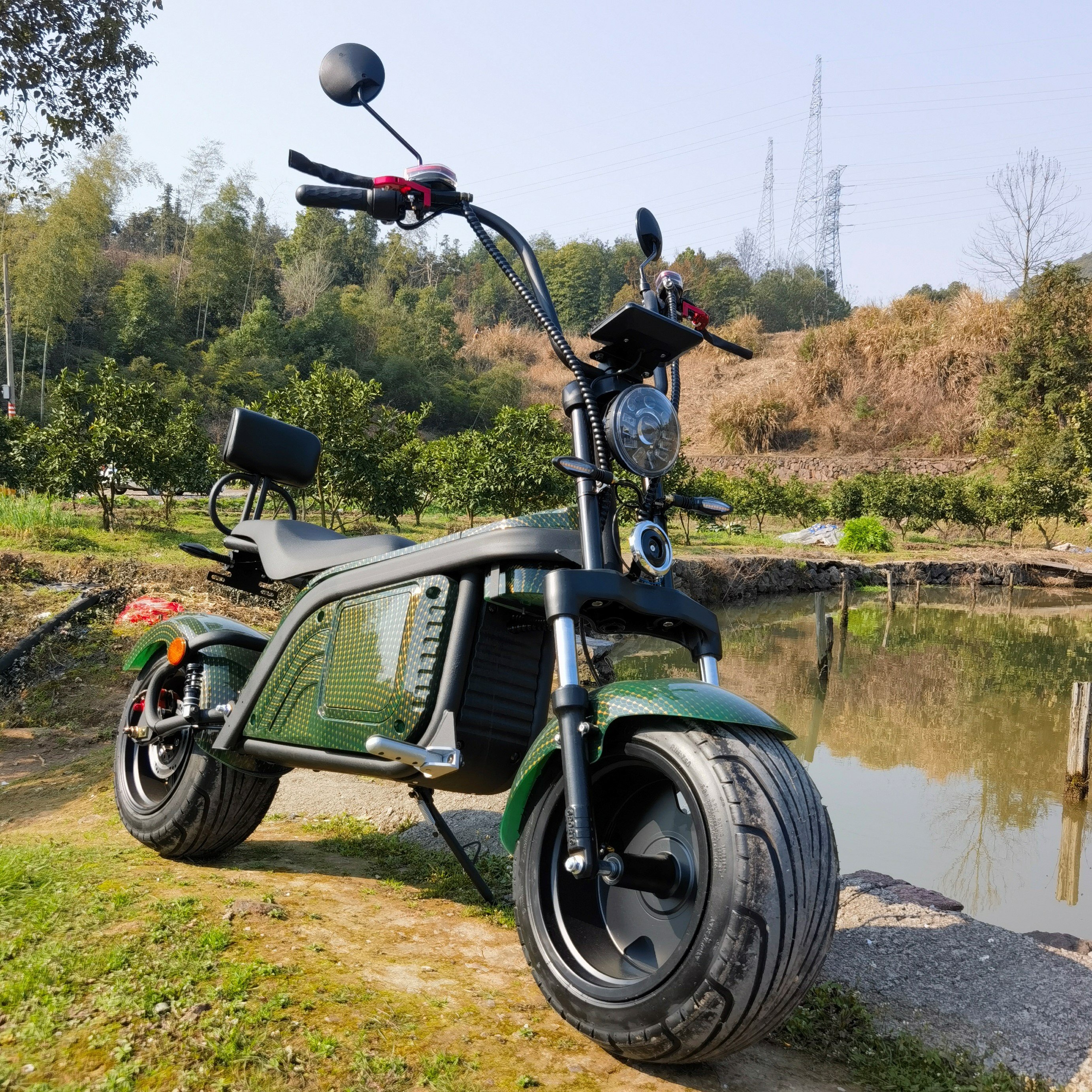 New Disc Brake Electric Scooters EEC/COC Citycoco 1500W/2000W/3000W Electric Bike Steel Frame For Men Electric Bike Chopper