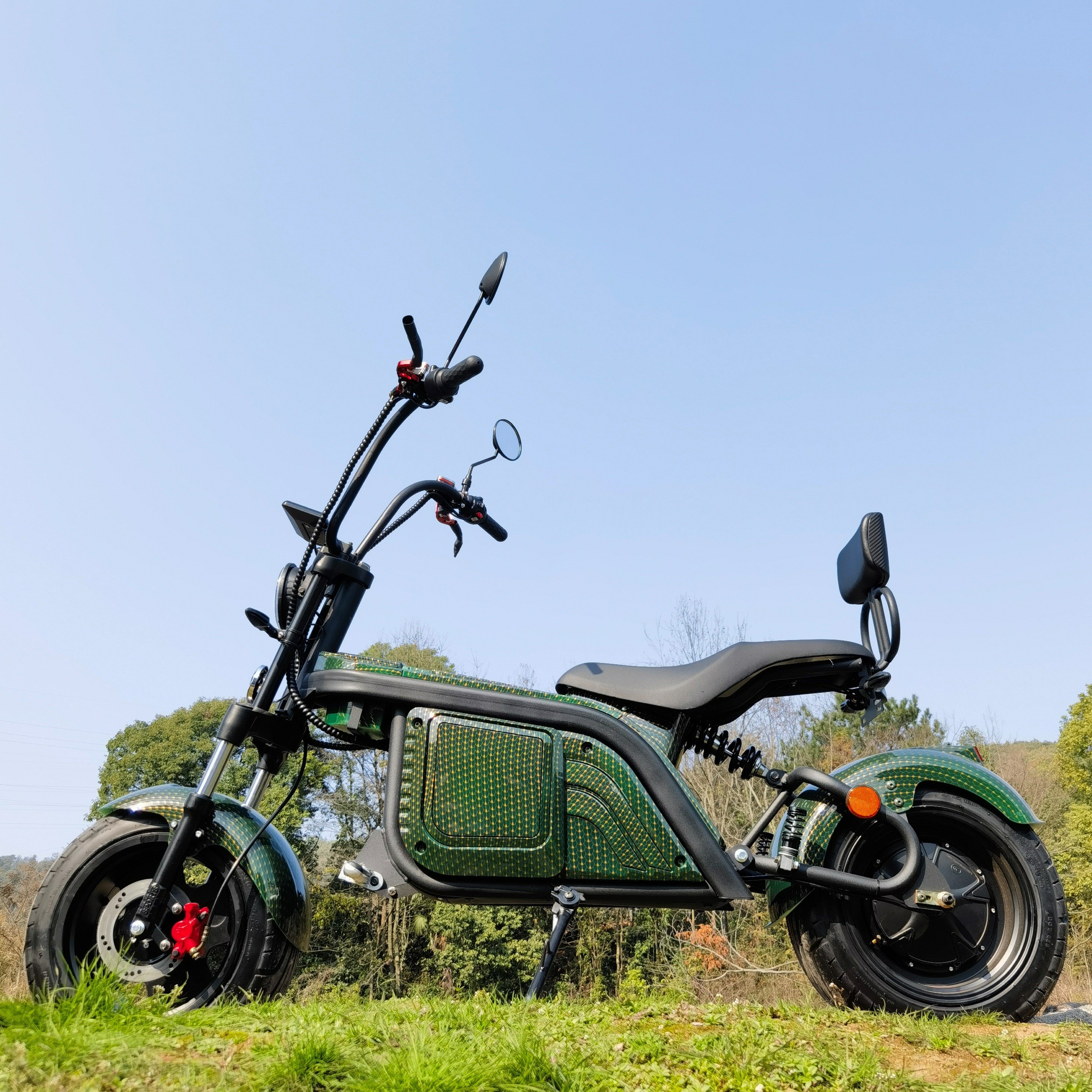 New Disc Brake Electric Scooters EEC/COC Citycoco 1500W/2000W/3000W Electric Bike Steel Frame For Men Electric Bike Chopper