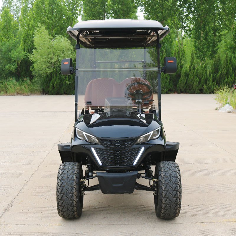 2 4 6 8 Seats Off Road Golf Cart Electric Car Hunting Golf Cart Electric Golf Scooter With Curtis Controller