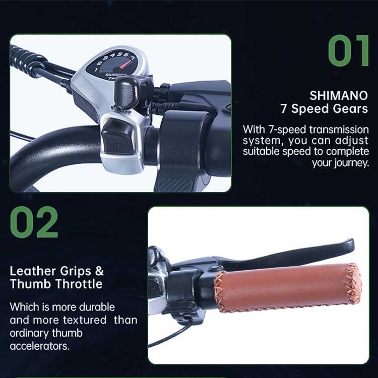 Low Cost Pantera Electric Bike Moped Style Ladies Electric Bike 500w Fat Tire eBike Electric Bicycle in Promotion