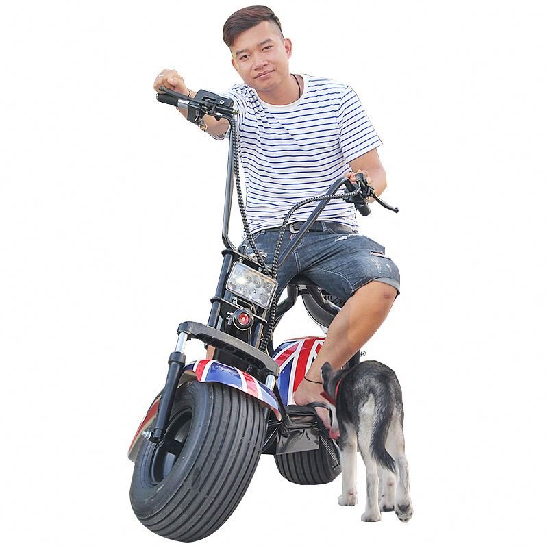 Europe Warehouse The Light YIDE Folding Electric Bicycle Adult Price China Dubai Long Range Electric Bicycle