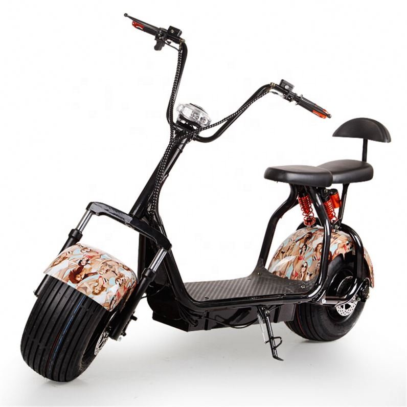 Motorcycle Electric Scooter Fat Tire Two Big Wheels Off Road Scooter 1000W
