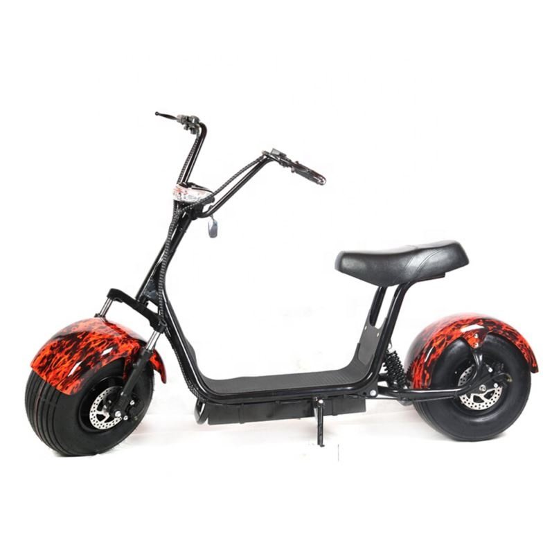 Motorcycle Electric Scooter Fat Tire Two Big Wheels Off Road Scooter 1000W