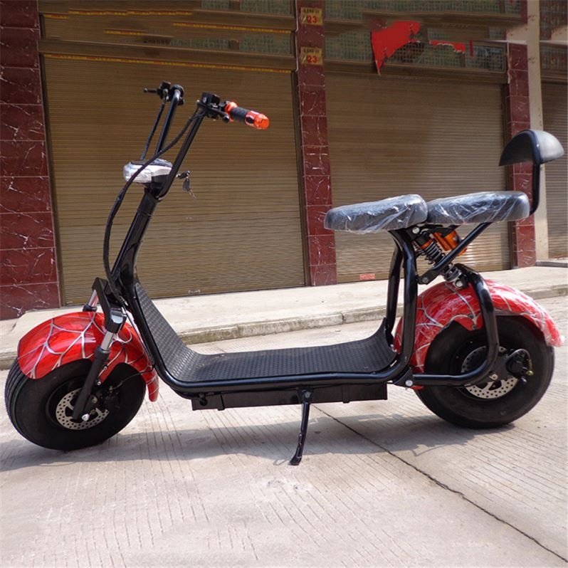 Motorcycle Electric Scooter Fat Tire Two Big Wheels Off Road Scooter 1000W