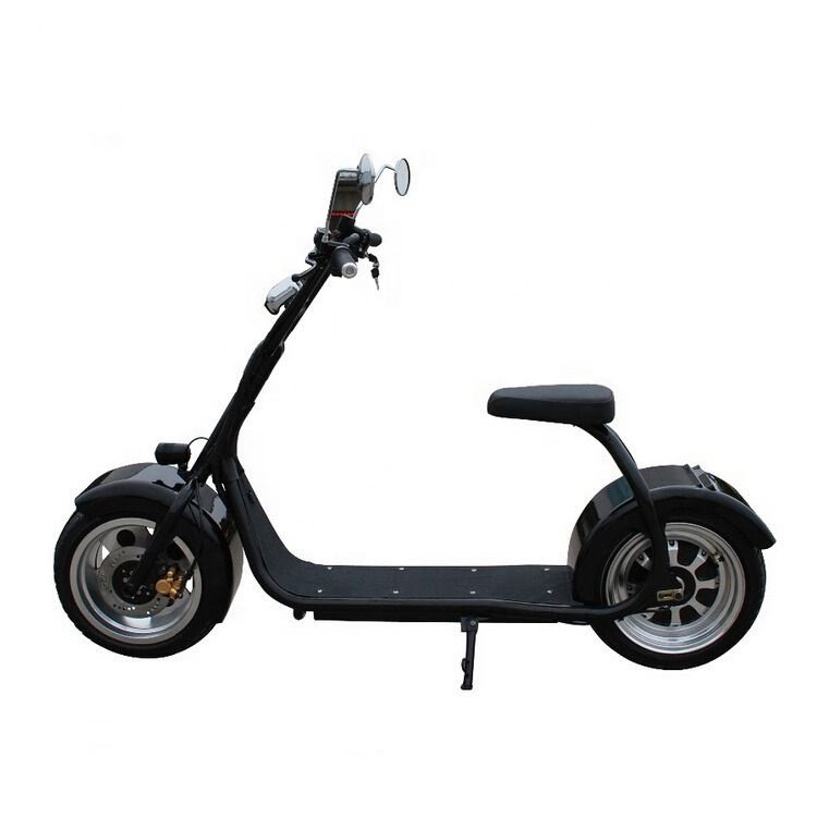 Motorcycle Electric Scooter Fat Tire Two Big Wheels Off Road Scooter 1000W