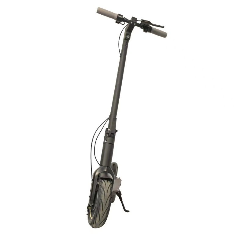 Most Popular Adult Big Speed Scooter Electric Scooter 350 W 36V Folding Electric Scooter 8.5 Inch