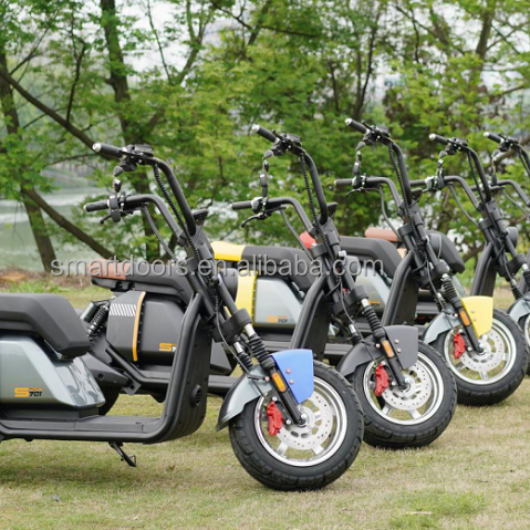CE/EEC/COC Certificate 60V 20AH Lithium Battery 2000W/3000W Motor Electric Scooter adult Citycoco large electric motorcycle