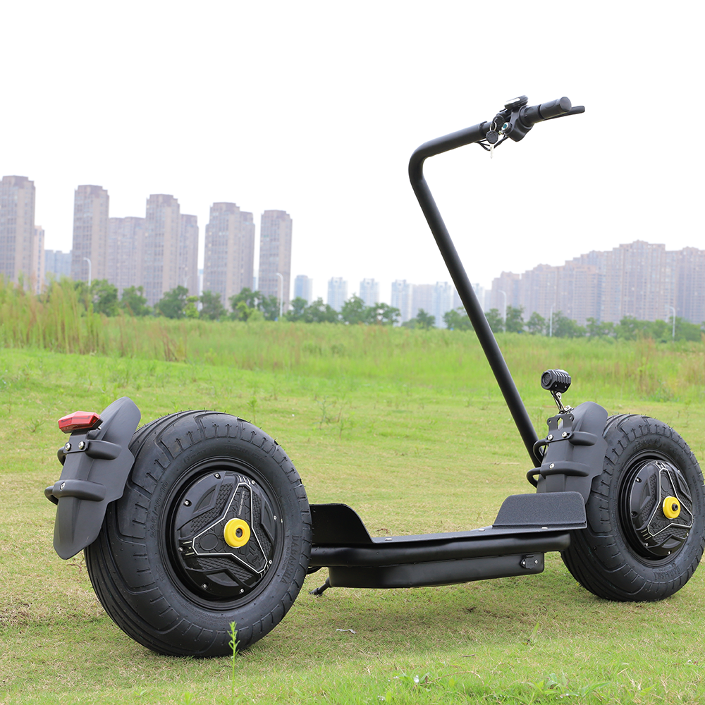 Hisunyes X5-SY fat tire Moto Eletrica Self-balancing Electric Scooters Adult Motorcycle EScooter Bike Ce Unisex 10 Inch 2000w