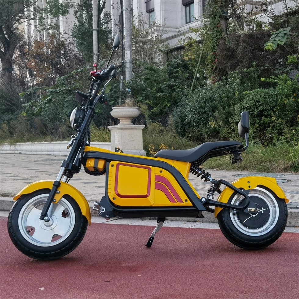 Factory Direct Eec 60V Electric Motorcycle Citycoco 2 Seats Phat Golf Electric Scooter