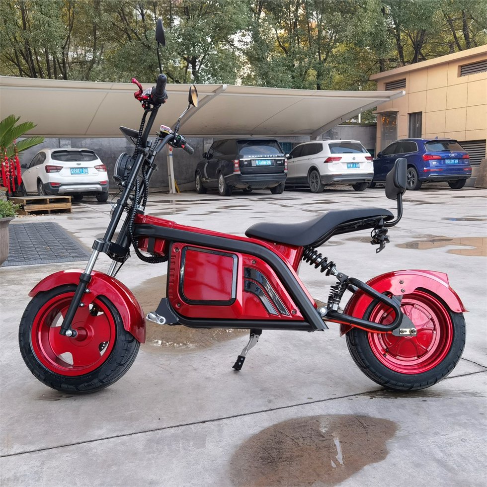 Factory Direct Eec 60V Electric Motorcycle Citycoco 2 Seats Phat Golf Electric Scooter