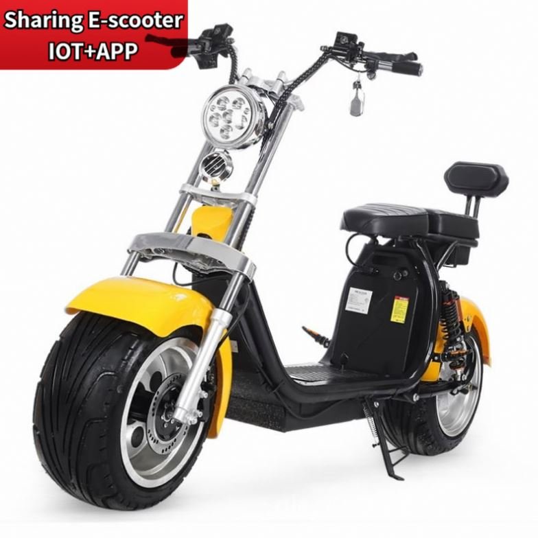 NEW Dropshipping Electric Scooter 2000W Electric Scooter Adult 60V 20Ah Lithium Battery For E Scooter 1500W citycoco