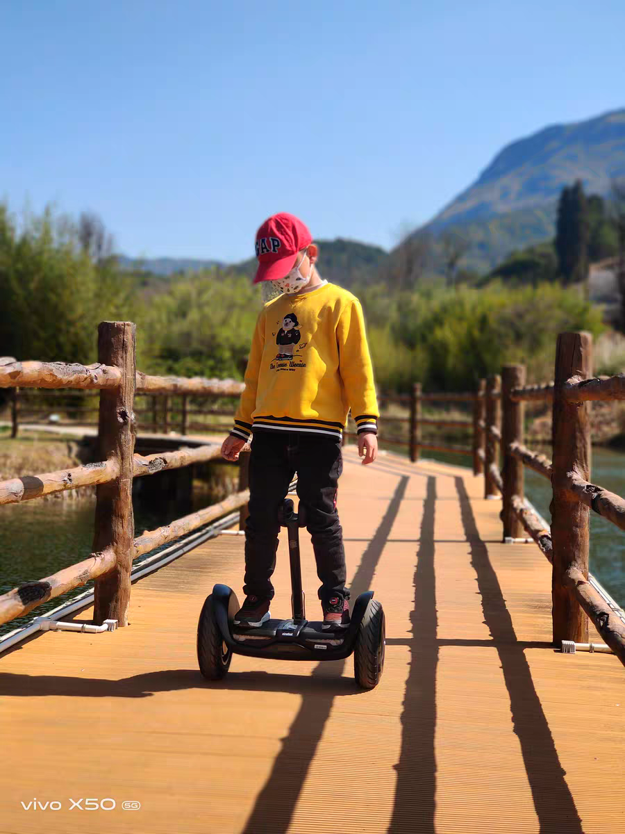 2022 New Xiaomi Ninebot L6 Self-Balancing Electric Scooter with LED light Portable 2 wheels Kick Scooter kids E scooters