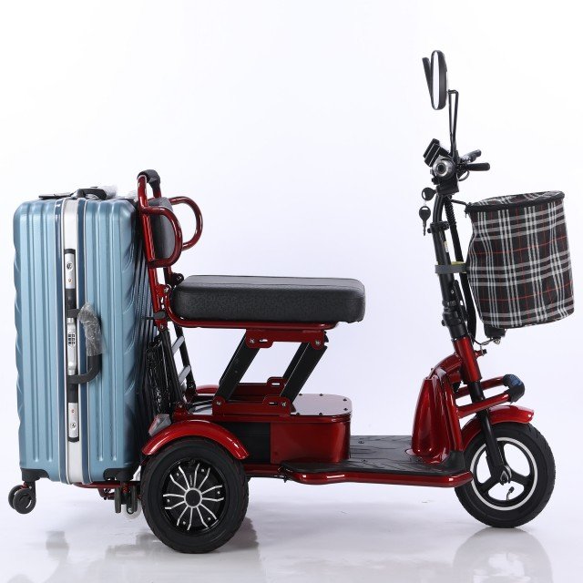 Hot Selling Three Wheel Electric Scooter for The Elderly 48V 350W Motor 12ah Lead Acid Battery