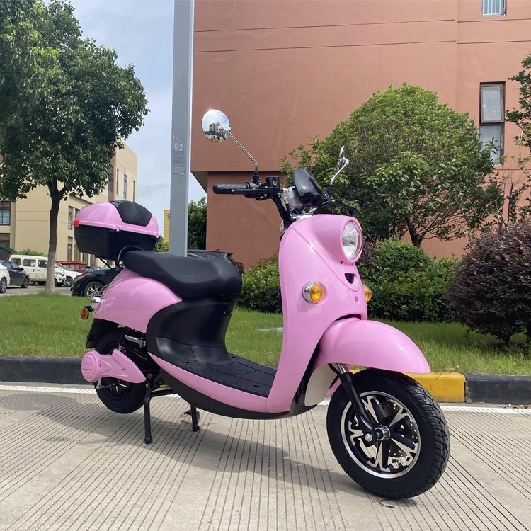 Unicycle 2 Wheel Electric Scooter Adult 2000W With 10 Inch Tire LCD Display