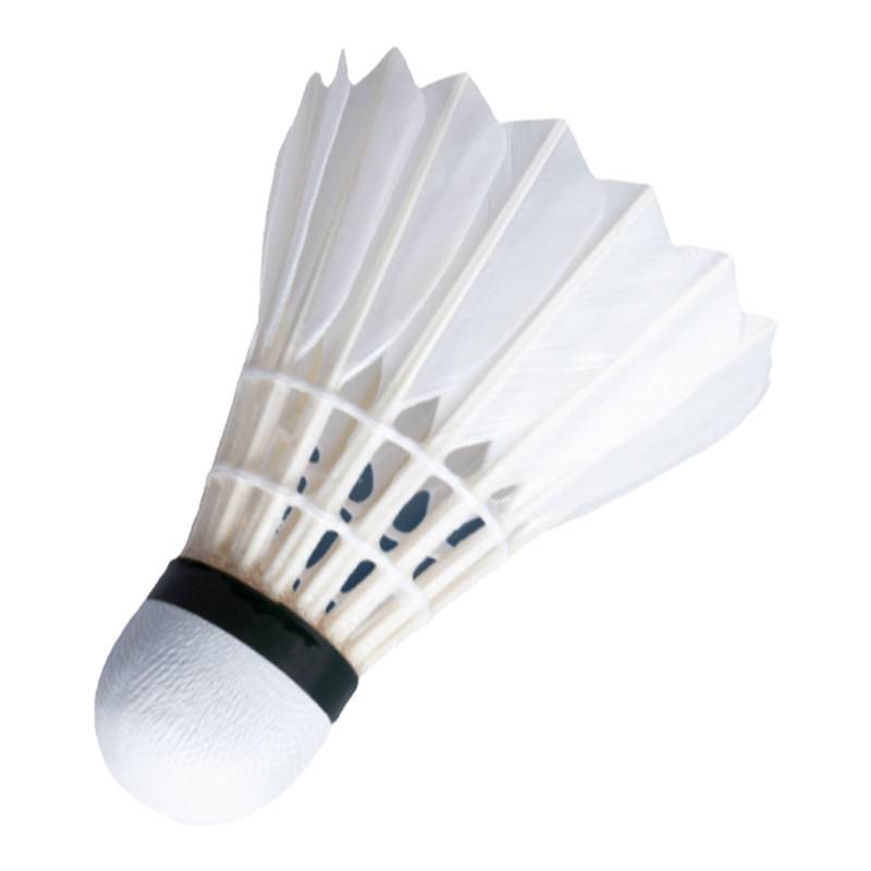 Badminton genuine resistance to official flagship store 12 goose feathers professional durable competition for special windproof training ball