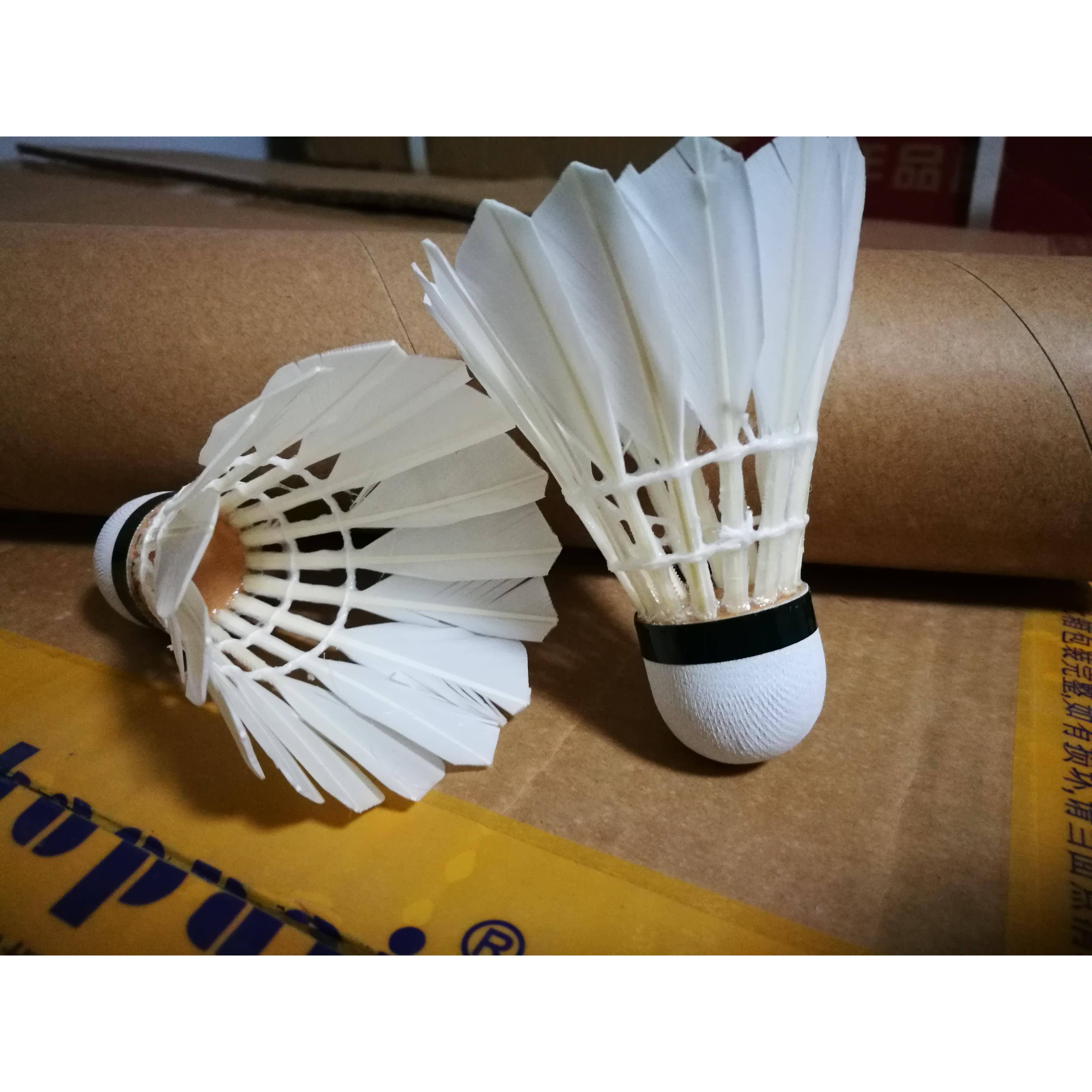 G777666 BADMINTON FOR A STEADY-FLYING AMATEUR GAME
