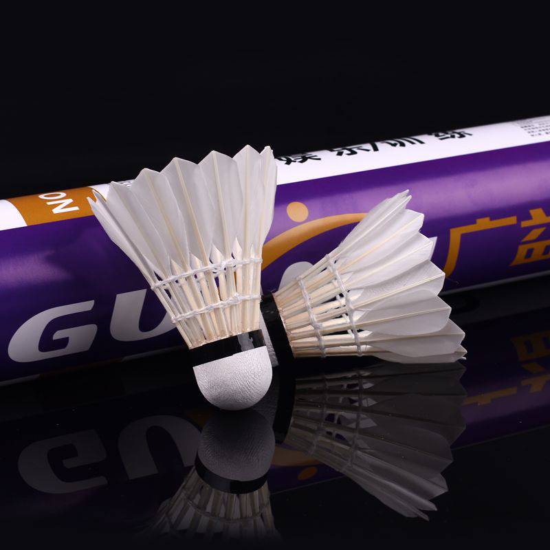Guangyi Economy Water Duck Patriarch Badminton Training Badminton Film Family Entertainment Badminton 12 Pack
