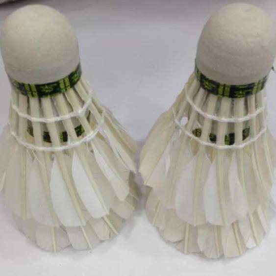 105 Badminton Adult Entertainment Training Students Practice Ball and Playing Economy Top 12