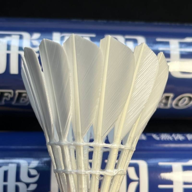 ♪ the geese 101c ♪ queen's play-stabilized badminton training club ♪
