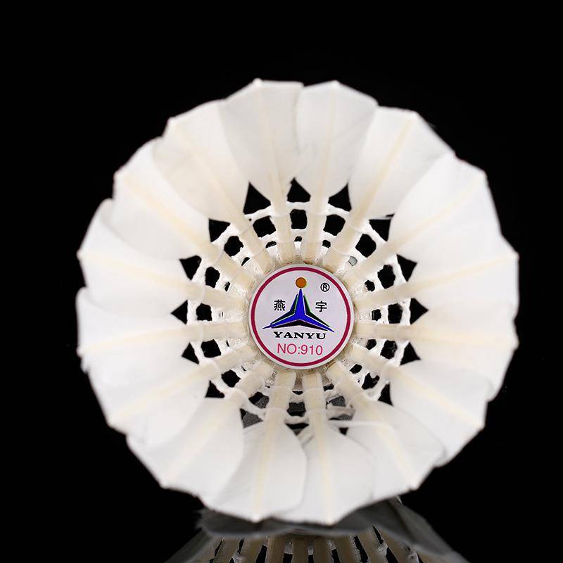 Yanyu 910 Badminton 12 Installing indoor outdoor training ball