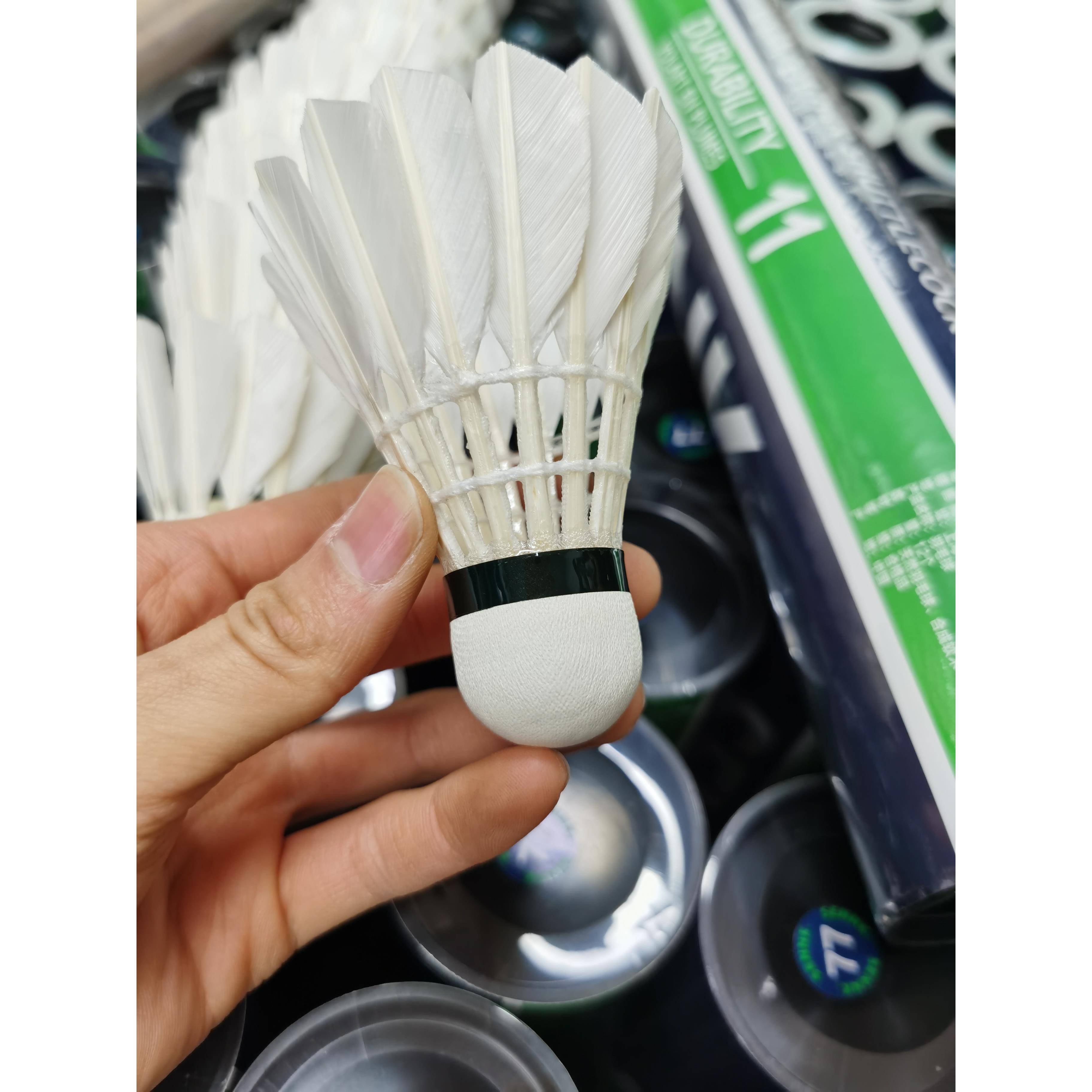 /SenNNK's No. 11 badminton, generous ducks are not badly hit, king stable flight