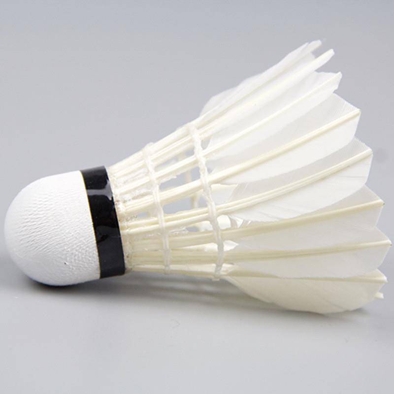 Badminton 12 pretend to play genuine products is not easy to break the goose feather indoor outdoor game windproof training 6