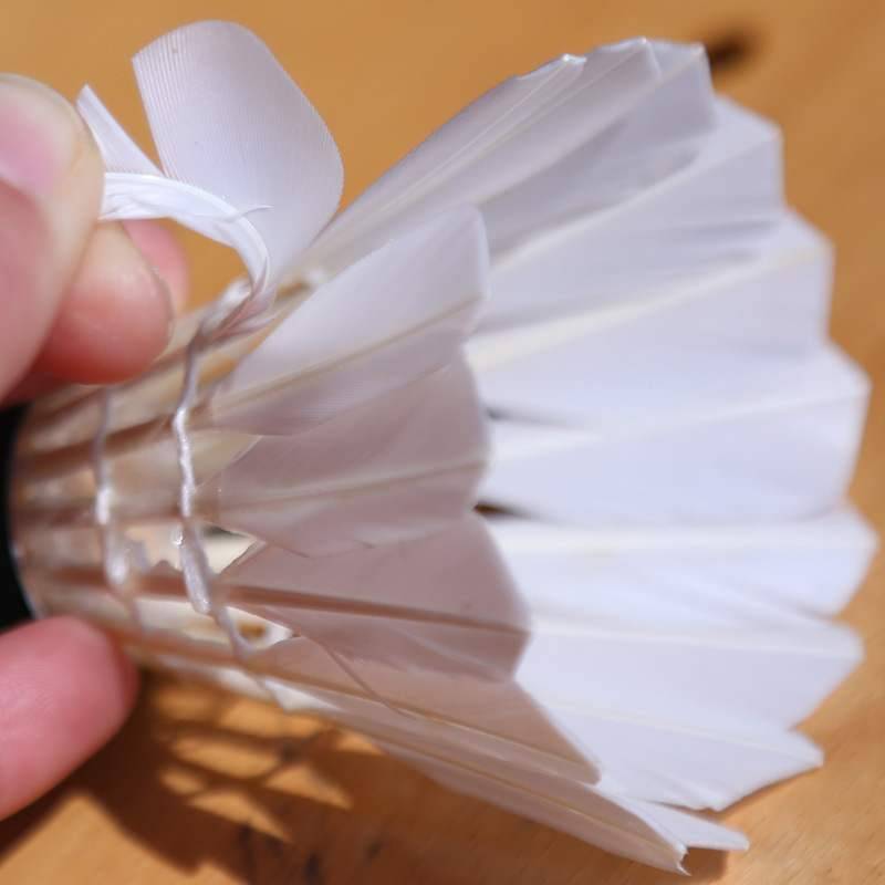 Black Goose Blade, steady and good