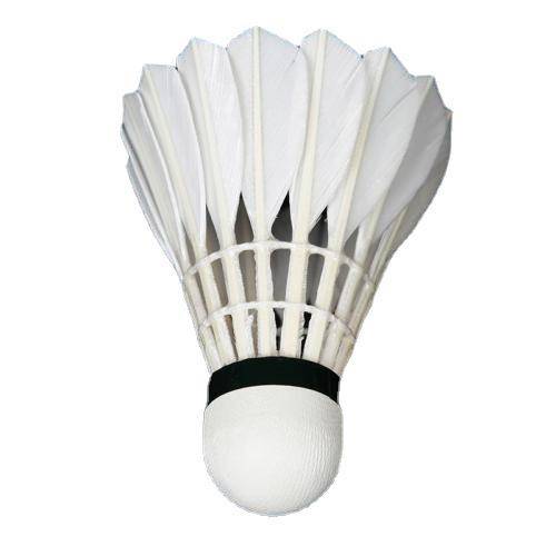 Luo Wei Badminton 12 installed 6 installations of badminton white black outdoor learning training ball