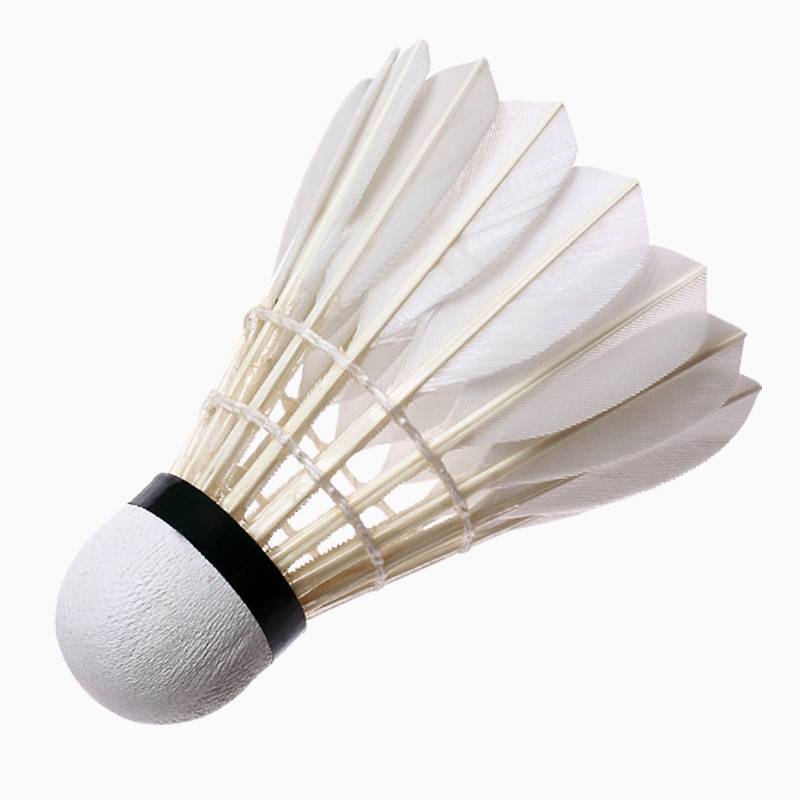  Hang Badminton 12 Permanery Ball Ball Duck Duck Stable and Patting King Training Games is not easy to rot