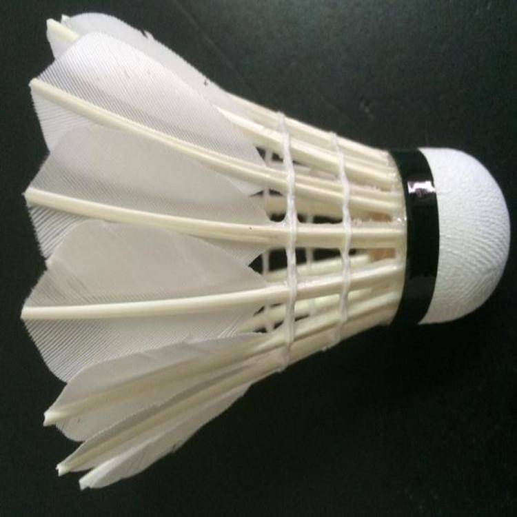 Goosemint badminton, 12. Practice primary student training ball