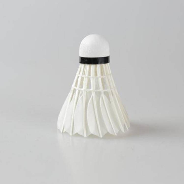Goosemint badminton, 12. Practice primary student training ball