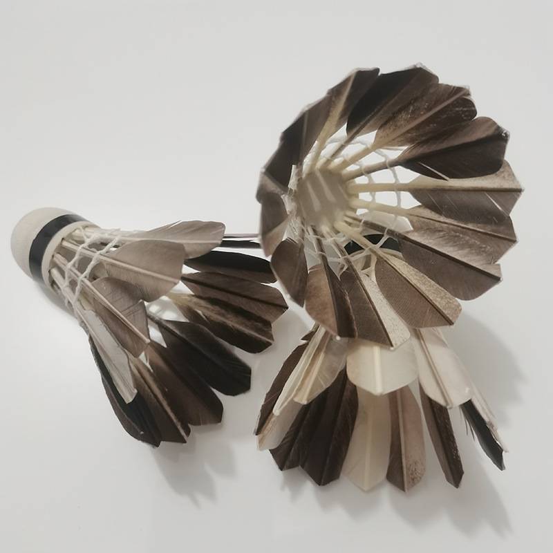 Badminton black and white 6 12 installed goose hair balls indoor and outdoor training special ball