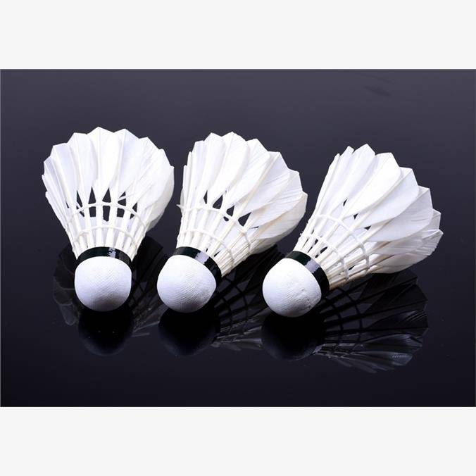 Xinjiang Badminton Badminton 12 Packing Badminton Stadium Training Flying Stability Valentine