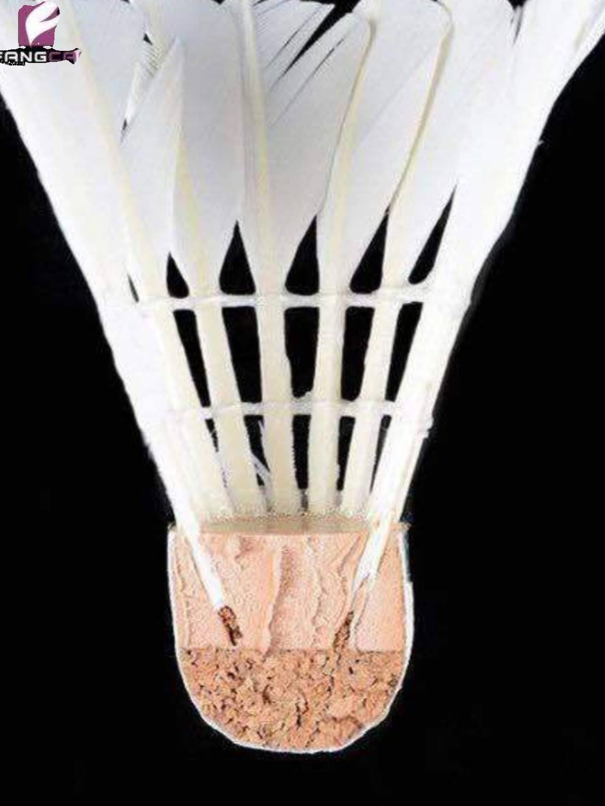 Nanga badminton 6/12 only play against king badminton indoor outdoor training game