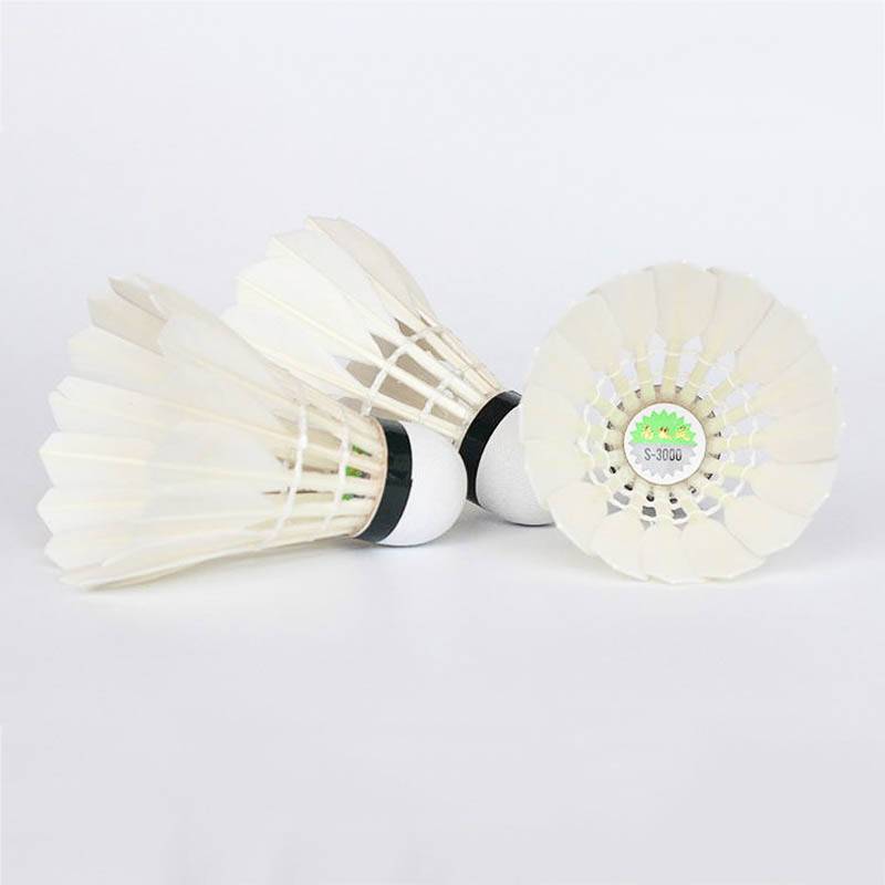 Antarctic Wind Badminton S3000 duck ball flight stable hit club competition training ball genuine