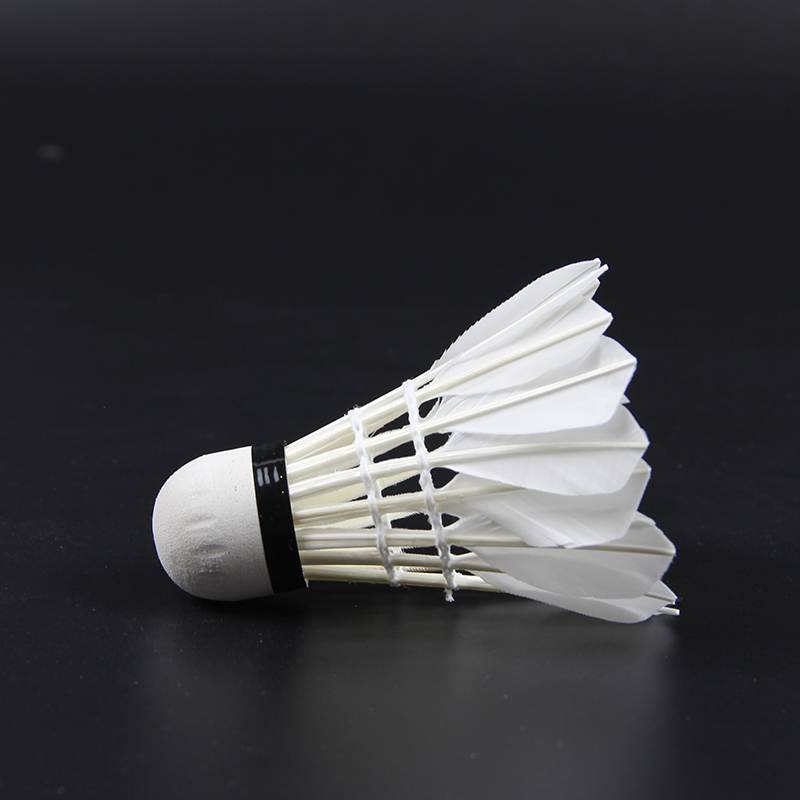 Badminton 12 pretend to play genuine products is not easy to break the goose feather indoor outdoor game windproof training 6