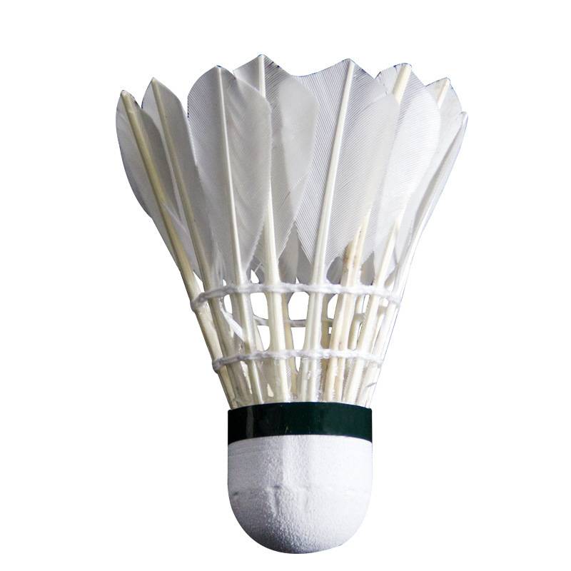 Rex badminton professional training for 12 duckminton-mounted children's softwood windproof head