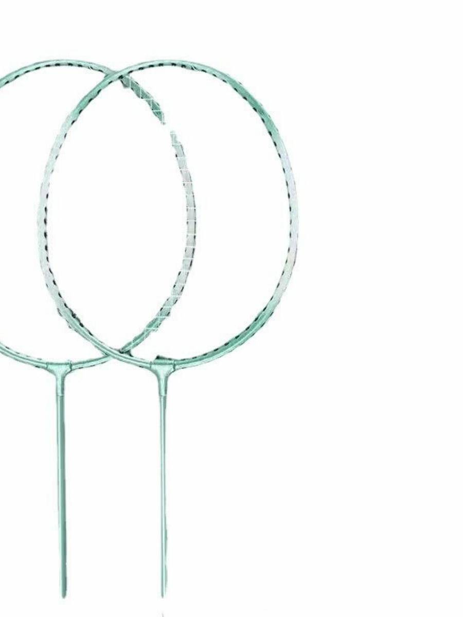 Yenix Badminton Ball racket feathers and high elastic adult students offensive badminton ball set