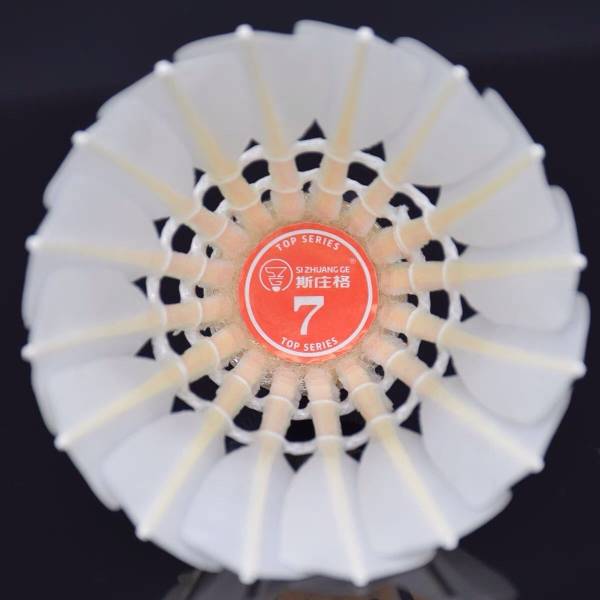 Genuine Stegen Badminton Top7high5high6 Professional Competition Training Room indoor endoators stable