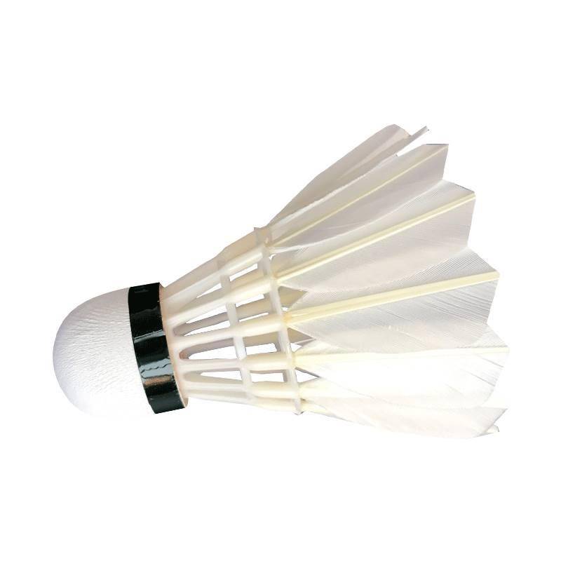 Badminton 12 installations and not easy to break the goose feather indoor outdoor game windproof training 6