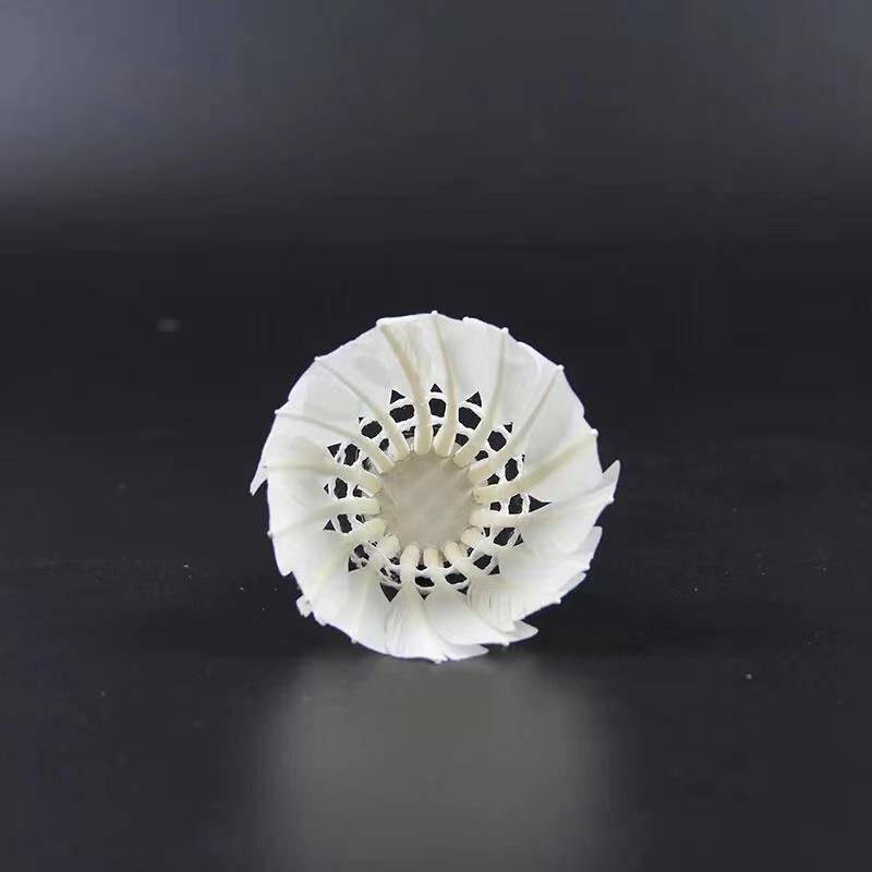 Badminton training special balls 6 12, 12 resistance goose feathers adults, children students, durable goose feather defense