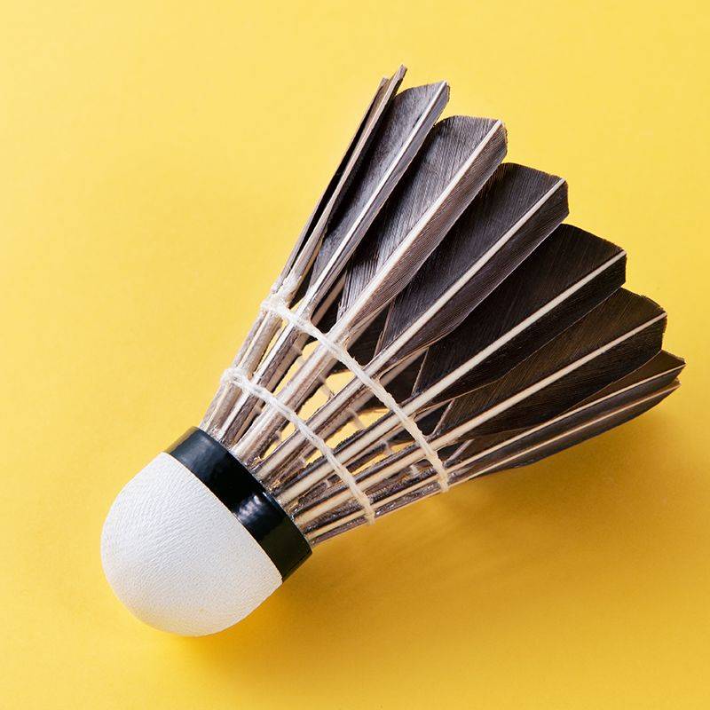 Outdoor training entertainment black goose feather badminton 3 only 6 only 12 loaded flight stable and anti -outdoor entertainment badminton