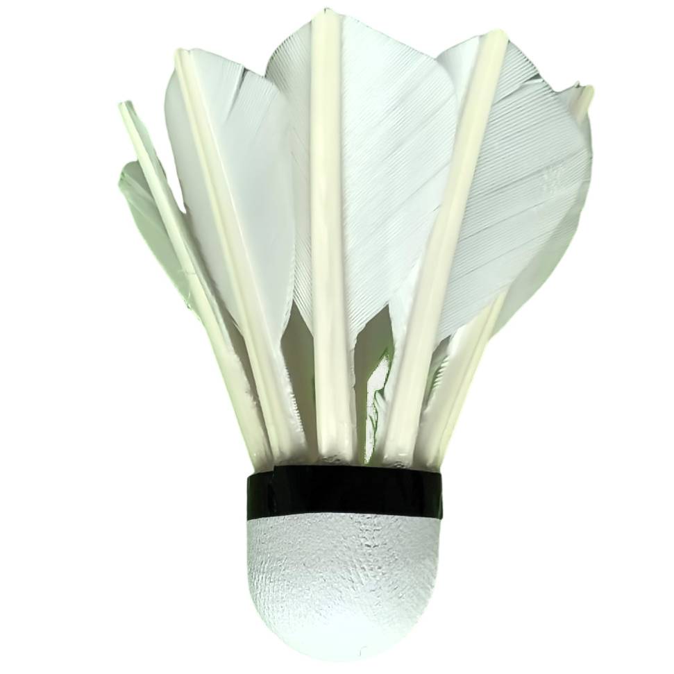 Hall 8 Badminton Outdoor Entertainment Ball Wireless Badminton Anti -Wind and Patient