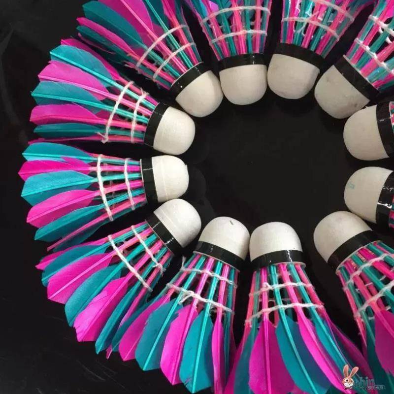 Increased the windproof, colorproof, color goose feathers, badminton training badminton, badminton, badminton badminton, slow speed