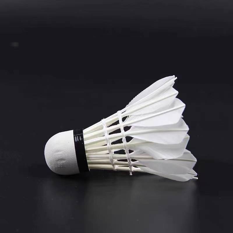 Primary Entertainment Training Badminton 3 6 Only 12 Factory Direct Factory Direct Bad Badminton Indoor Outdoor Outside
