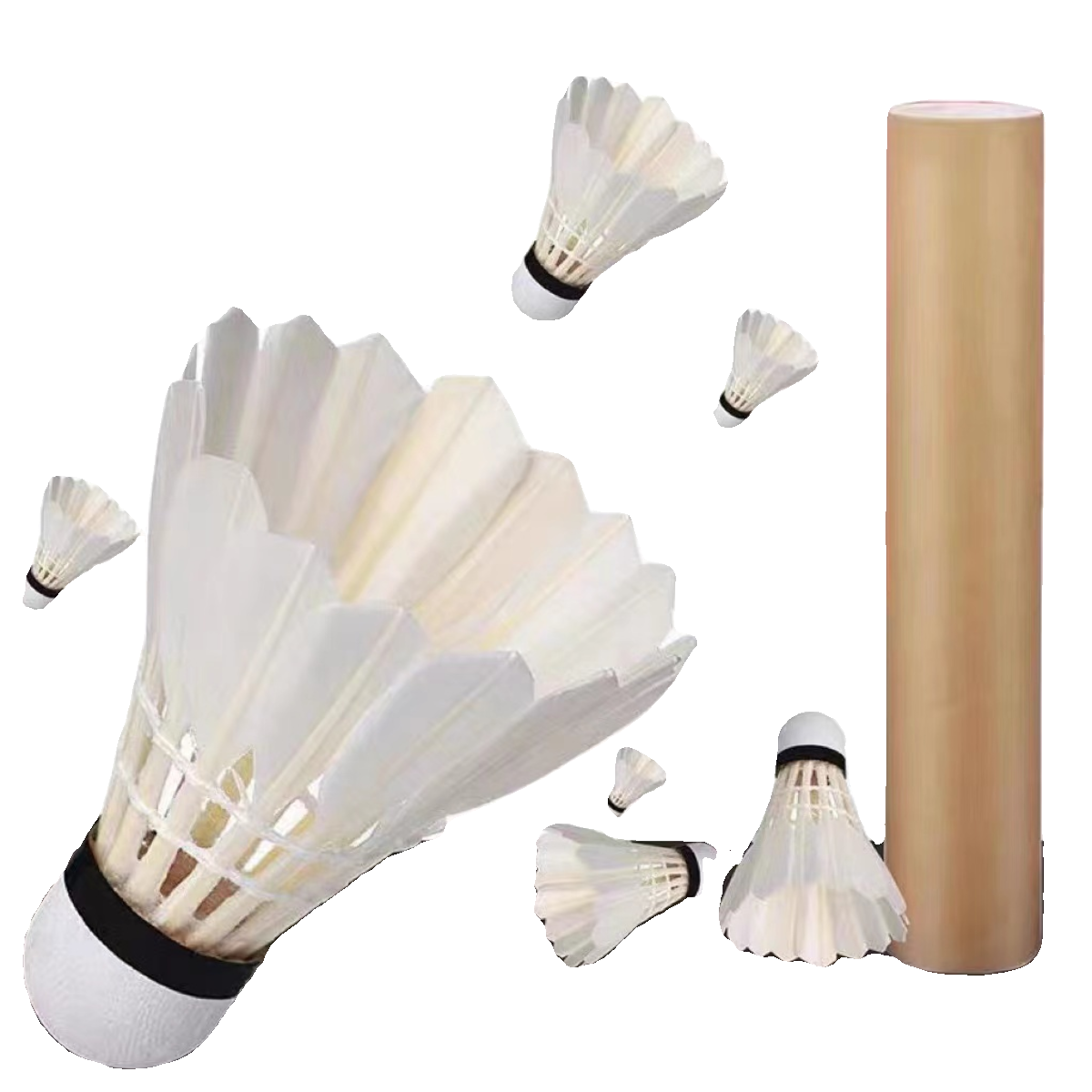 Primary Entertainment Training Badminton 3 6 Only 12 Factory Direct Factory Direct Bad Badminton Indoor Outdoor Outside