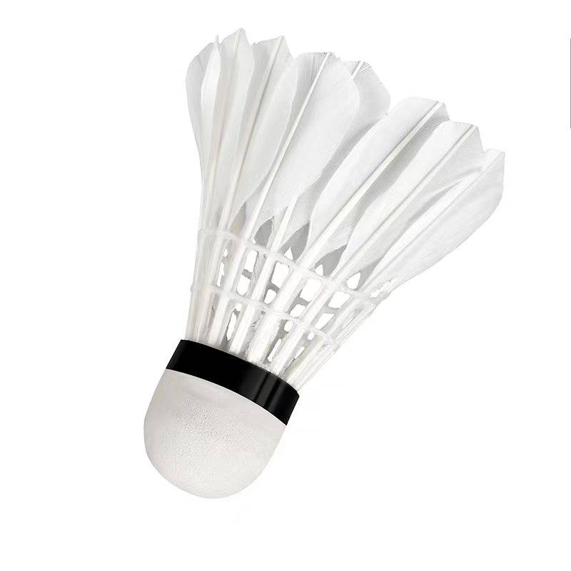 Badminton Genuine Destiny official flagship store 12 goose feather professional competition for special windproof training nylon