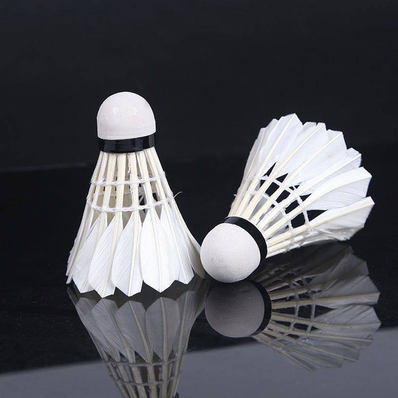 12 badminton 12 installations of 6 installations of badminton white black outdoor learning training ball