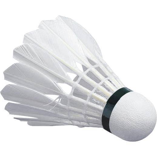 The new 1 tube 12 swallow brand badminton can not play bad professional competition training practice entertainment goose feathers