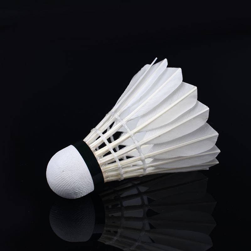 Guangyi No. 3 Water Duck Badminton 12 Installed Badminton Training Entertainment Family Entertainment Badminton